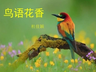 21.鸟语花香