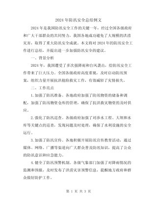 2024年防汛安全总结例文