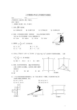 四川成都九年级数学上学期期末模拟试题新人教版