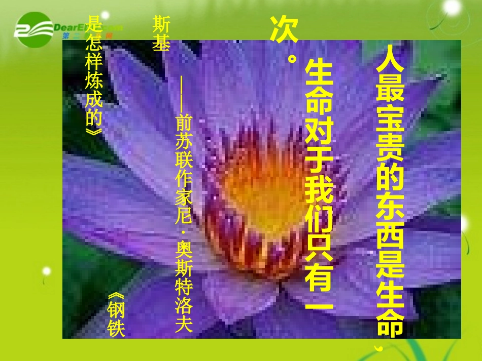 高中语文-《中国现代诗歌五首热爱生命》-课件-粤教版必修2_第1页