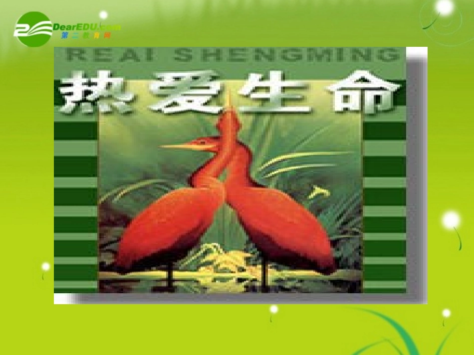 高中语文-《中国现代诗歌五首热爱生命》-课件-粤教版必修2_第2页