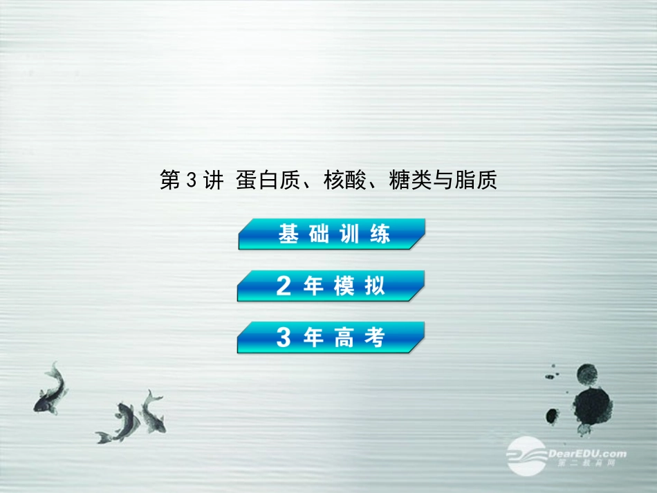 【3年高考2年模拟】2014高考生物总复习(基础训练+2年模拟+3年高考)第3讲-蛋白质、核酸、糖类与脂质课件-_第2页