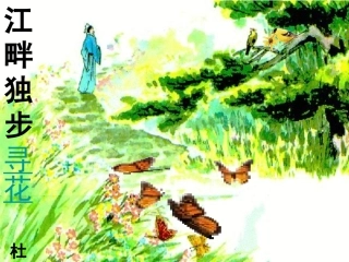 《江畔独步寻花》课件5