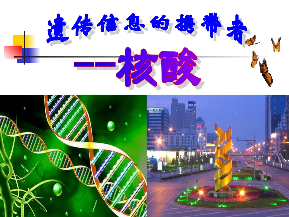 遗传信息的携带者--核酸_第1页