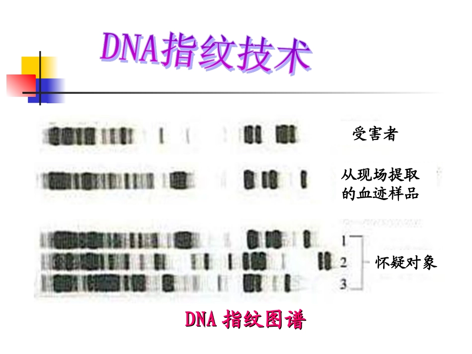遗传信息的携带者--核酸_第3页