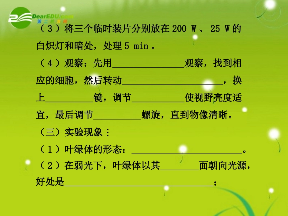 2011届高考生物-考点专题复习课件64_第3页