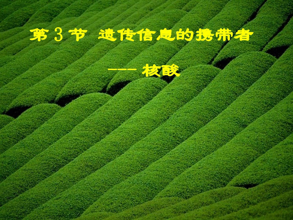 高中生物-2.3《遗传信息的携带者-核酸》课件-新人教版必修1_第1页