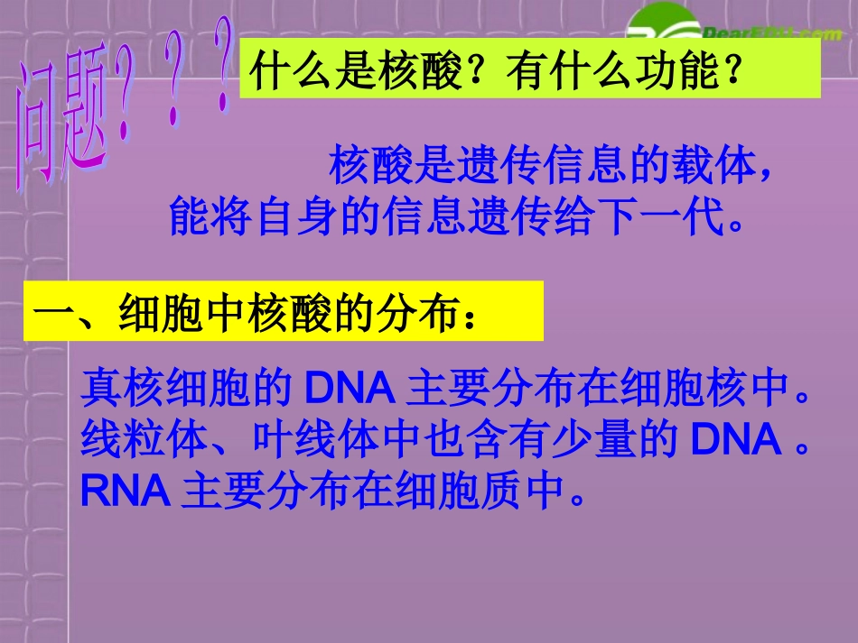 高中生物-2.3《遗传信息的携带者-核酸》课件-新人教版必修1_第2页