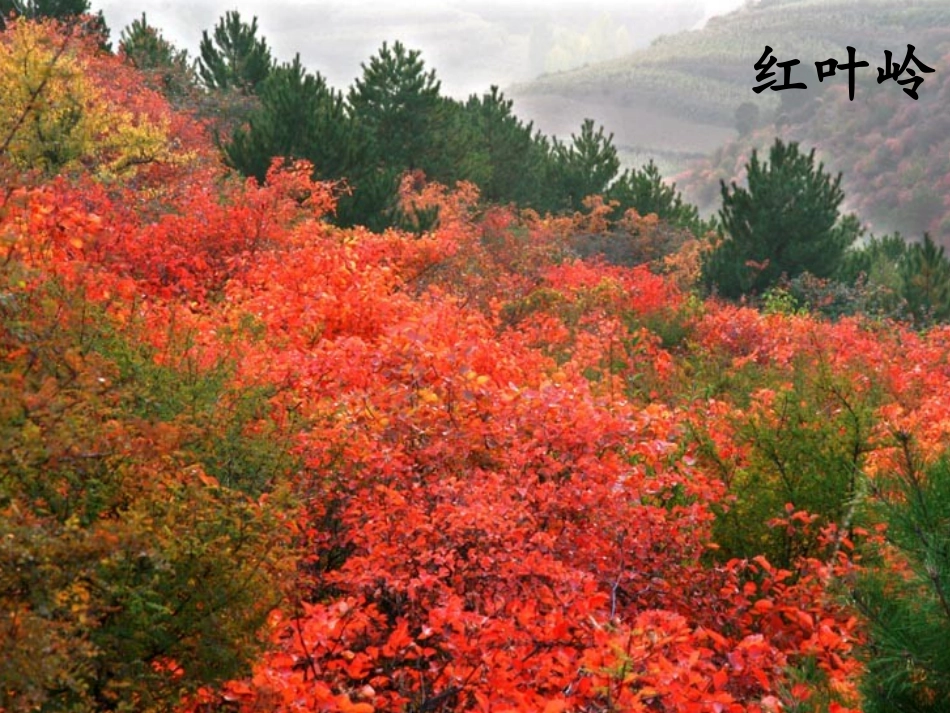 《日月潭》ppt_第2页