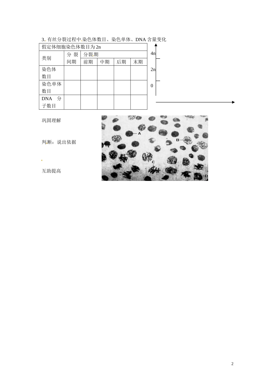 北京市第一五四中学2012-2013学年高中生物-细胞的增殖导学案-新人教版必修1_第2页