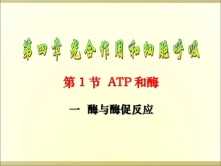 酶与酶促反应-(2)