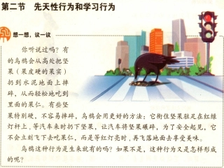 先天性行为和学习行为
