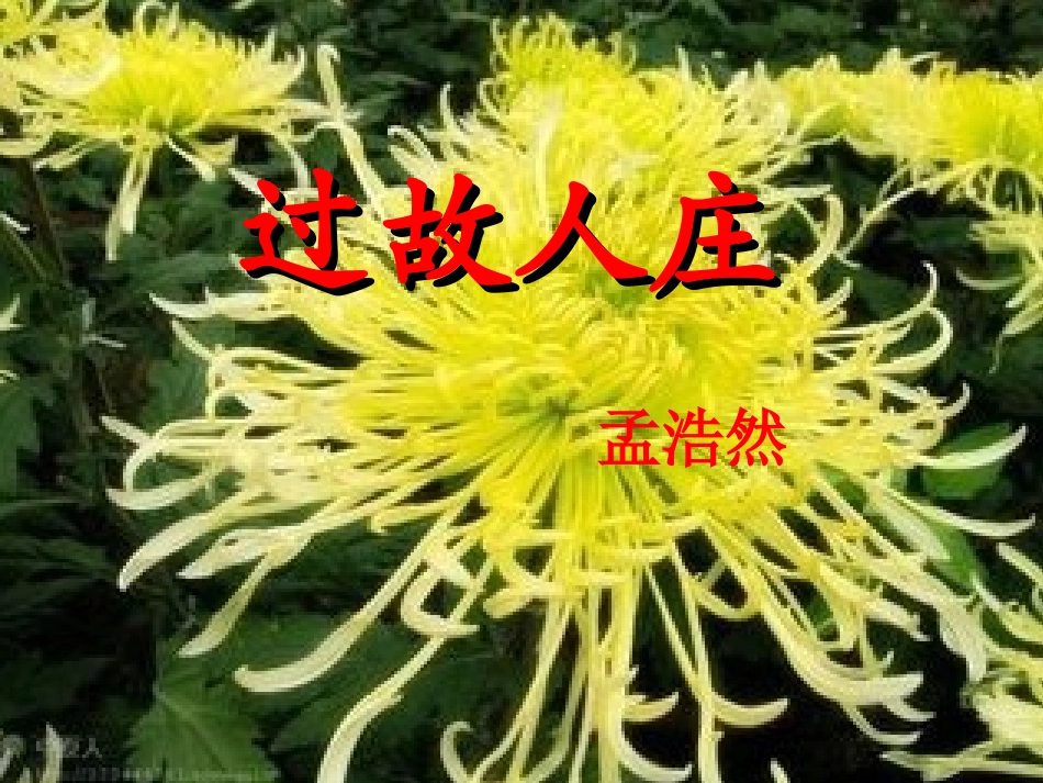 过故人庄-(2)_第2页