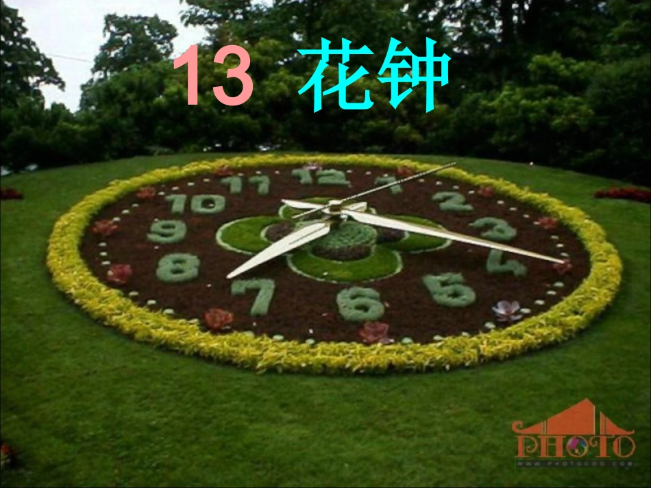 13《花钟》ppt课件_第1页