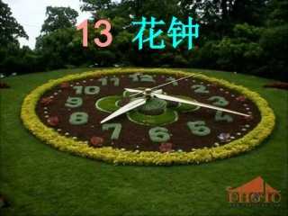 13《花钟》ppt课件