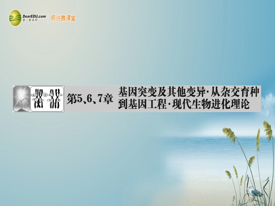 【课堂新坐标】(安徽专用)2014版高考生物一轮复习-第5、6、7章-第1课时基因突变和基因重组课件-新人教版_第1页