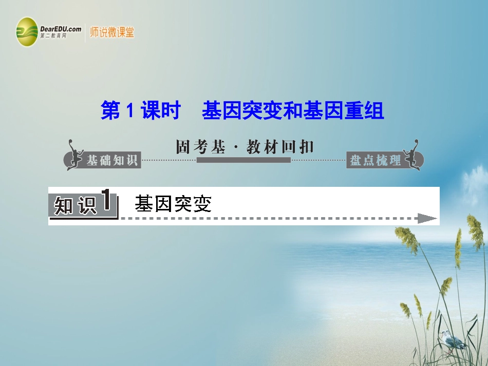 【课堂新坐标】(安徽专用)2014版高考生物一轮复习-第5、6、7章-第1课时基因突变和基因重组课件-新人教版_第3页
