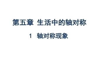 1轴对称现象.1轴对称现象修改