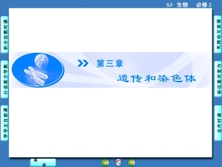 《基因的分离定律》课件3