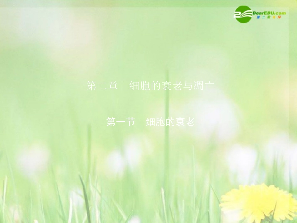 《金版》高中生物-第四单元-第二章第一节细胞的衰老课件-中图版必修1_第1页