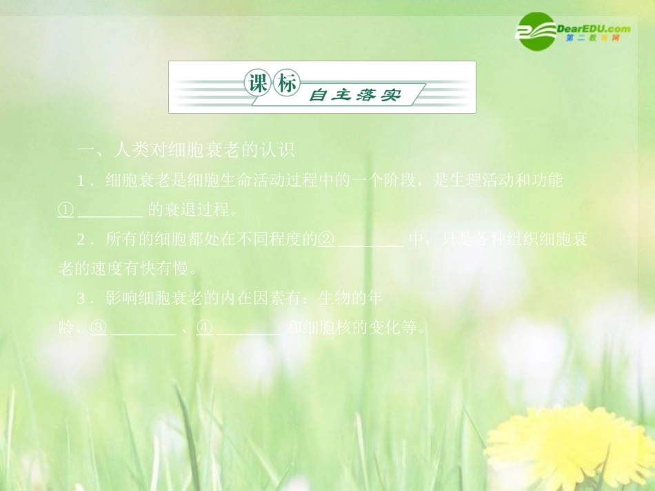 《金版》高中生物-第四单元-第二章第一节细胞的衰老课件-中图版必修1_第2页