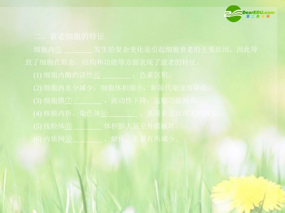 《金版》高中生物-第四单元-第二章第一节细胞的衰老课件-中图版必修1_第3页