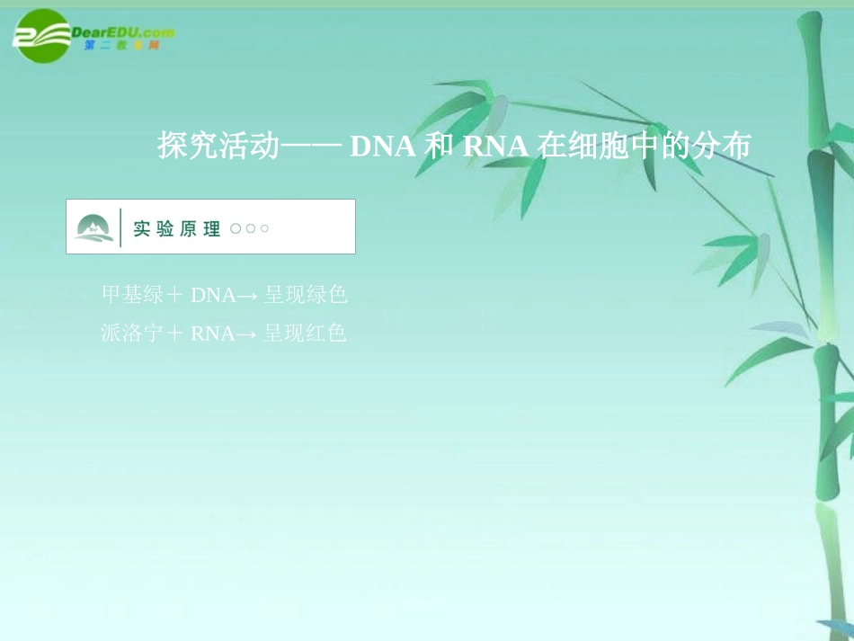 《金版》高中生物-第二单元-探究活动课件-中图版必修1_第1页