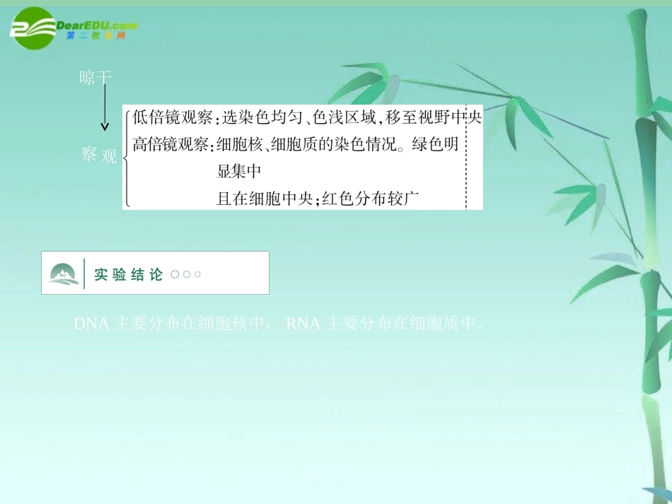 《金版》高中生物-第二单元-探究活动课件-中图版必修1_第3页