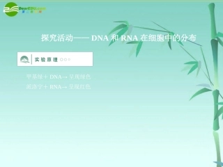 《金版》高中生物-第二单元-探究活动课件-中图版必修1