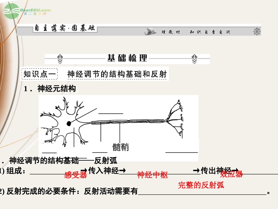 【课堂新坐标】2013届高考生物一轮复习-第1、2章--第2讲通过神经系统的调节课件-必修3(广东专版)_第2页