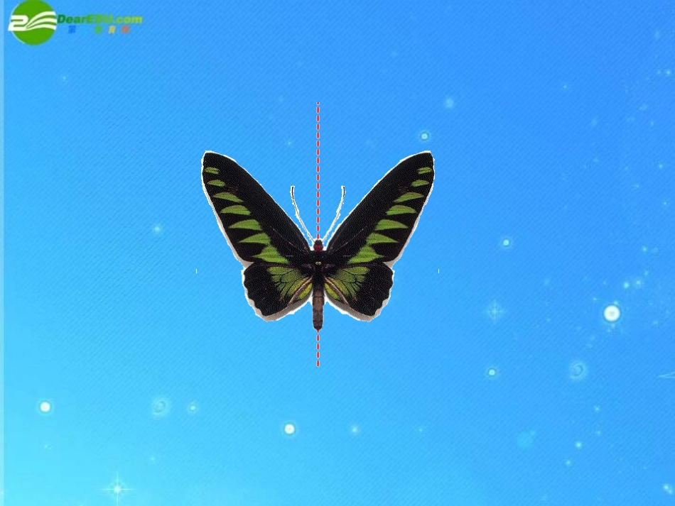 七年级数学下册-第二章第二节《轴对称变换》课件-浙教版_第3页