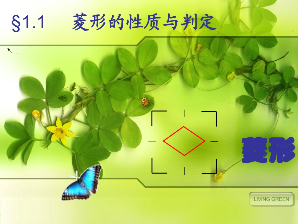 1.1-菱形的性质与判定.1-菱形的性质与判定_第1页