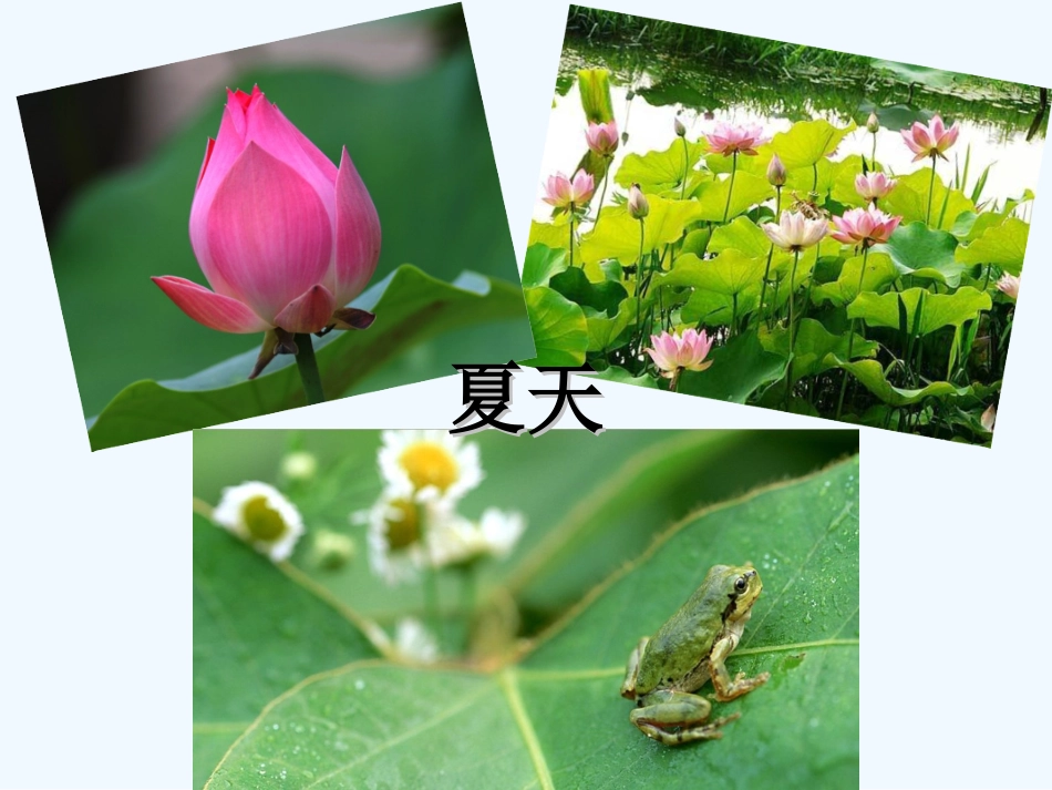 (部编)人教语文2011课标版一年级下册《春夏秋冬》课件-(4)_第3页