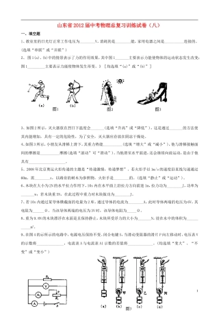 山东省2012届中考物理总复习训练试卷(八)