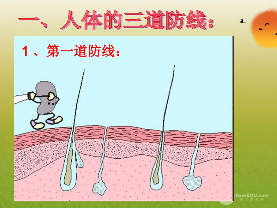 青海省湟川中学第二分校七年级生物免疫课件-人教新课标版_第3页