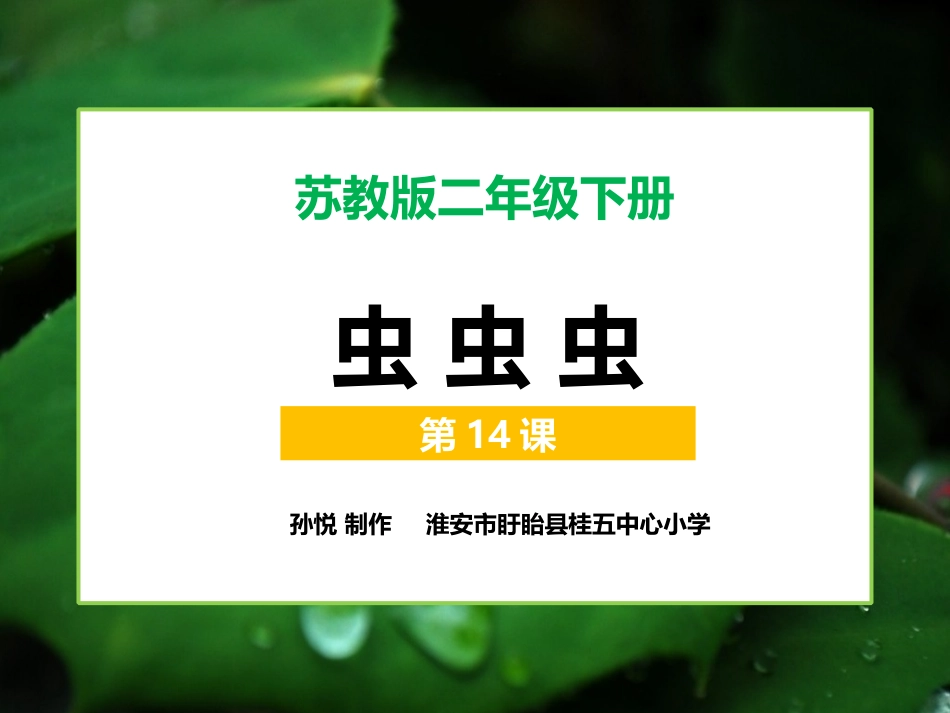 第14课-虫虫虫(一)_第2页