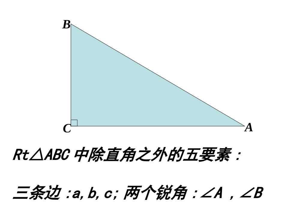 解直角三角形(1)_第3页