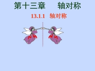 轴对称课件.1轴对称》课件