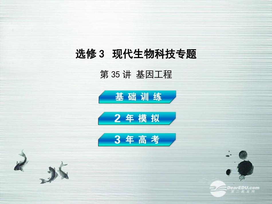 【3年高考2年模拟】2014高考生物总复习(基础训练+2年模拟+3年高考)第35讲-基因工程-34张PPT)课件-新人_第2页