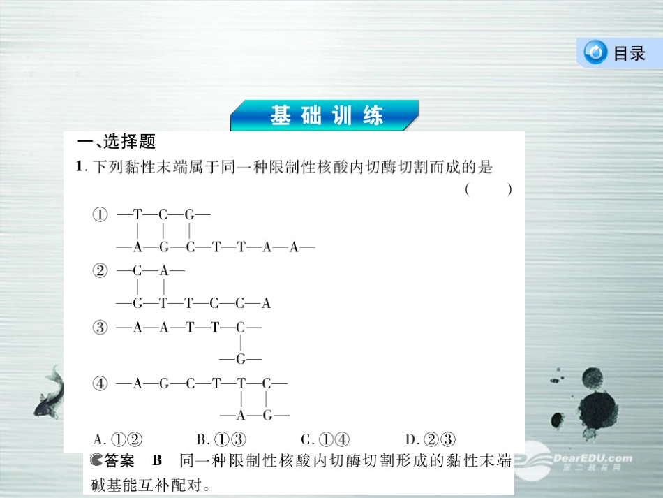 【3年高考2年模拟】2014高考生物总复习(基础训练+2年模拟+3年高考)第35讲-基因工程-34张PPT)课件-新人_第3页