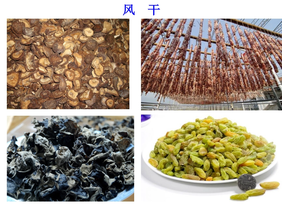 传统的食品保存方法-(2)_第1页