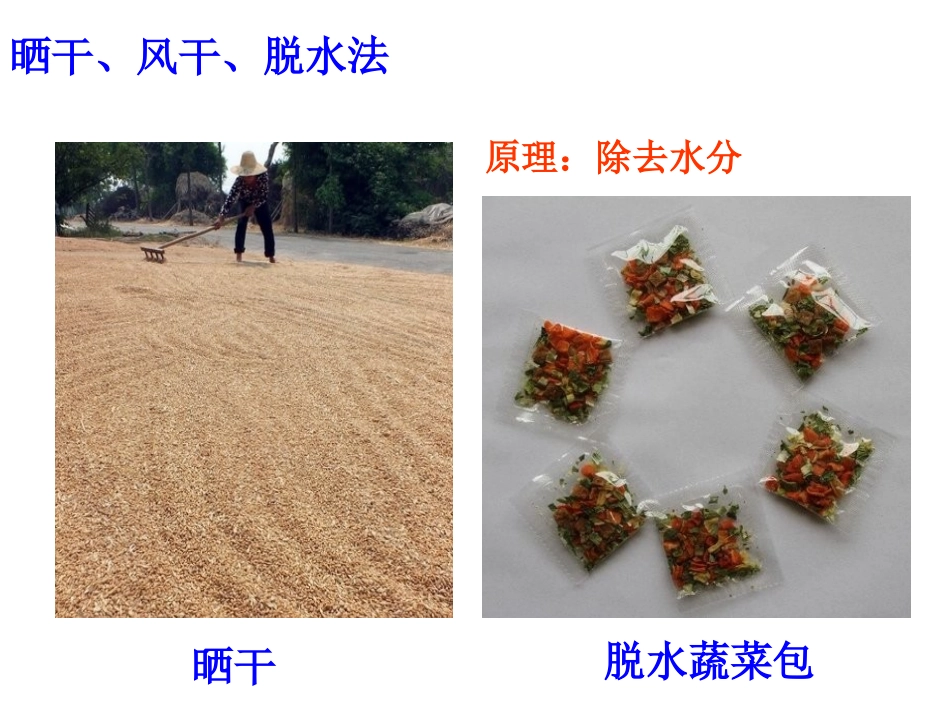 传统的食品保存方法-(2)_第2页