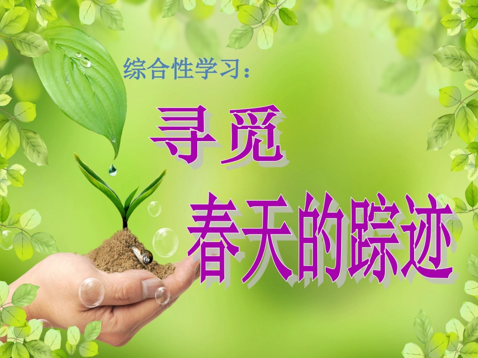 综合性学习-寻觅春天的踪迹_第1页
