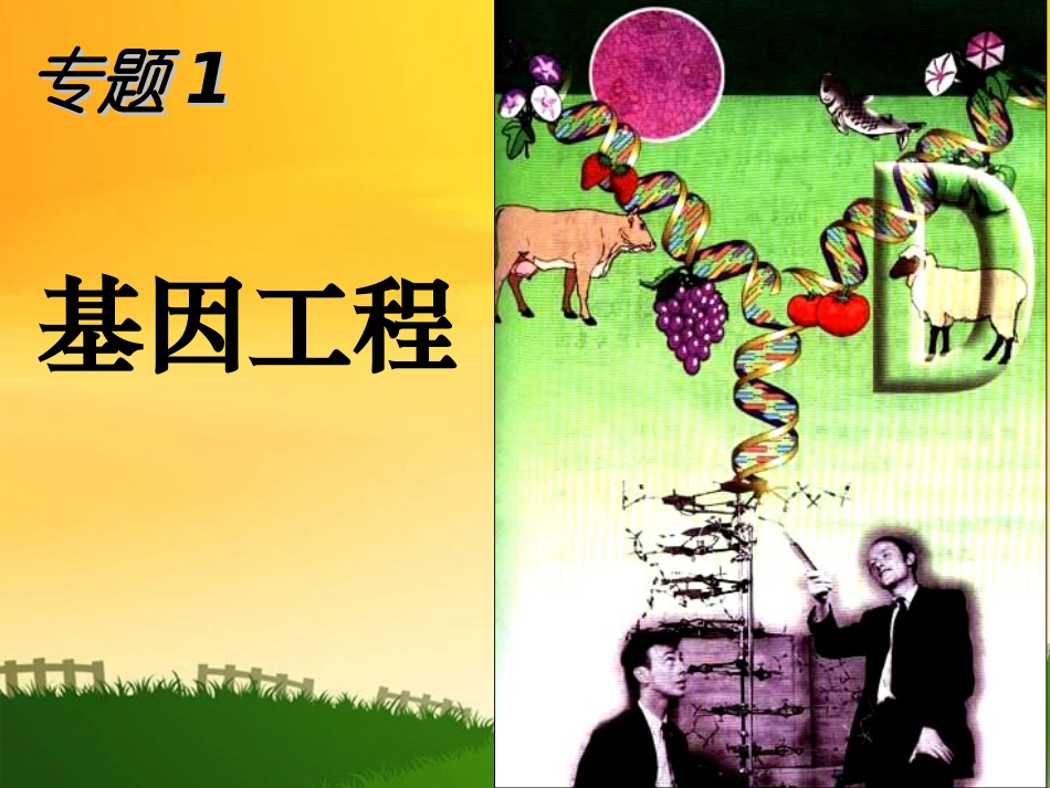 高中生物：DNA重组技术的基本工具课件人教版选修3_第1页