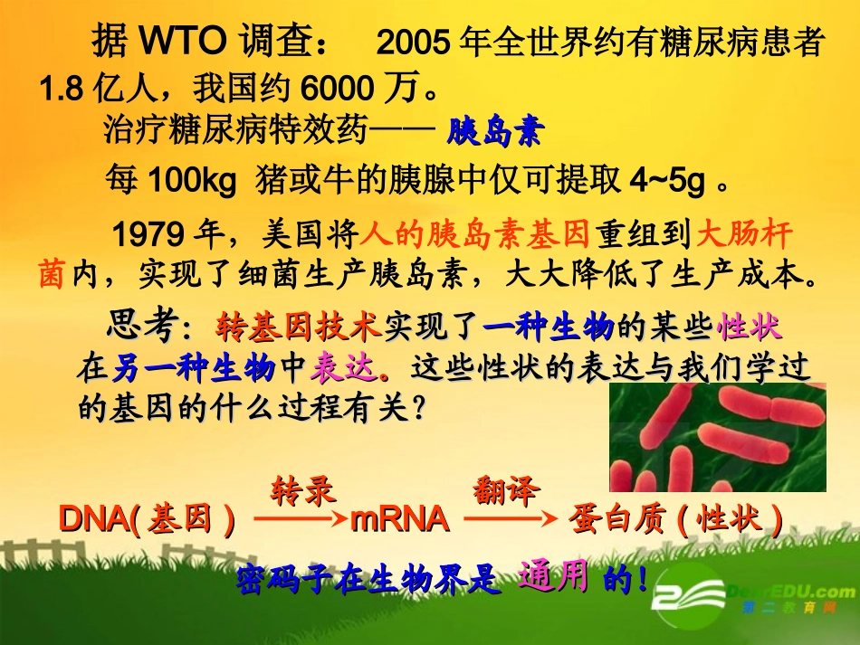 高中生物：DNA重组技术的基本工具课件人教版选修3_第3页