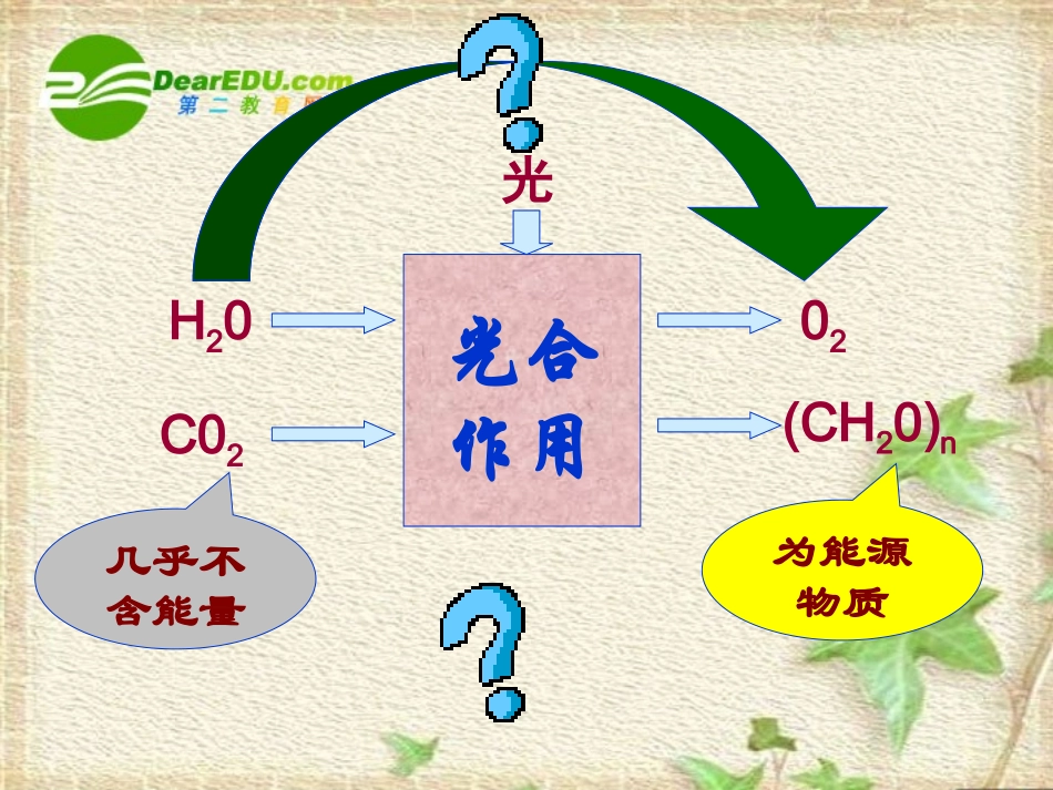 高中生物：-54-能量之源——光与光合作用(课件)人教版必修1_第2页