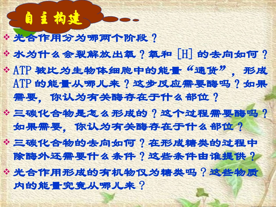 高中生物：-54-能量之源——光与光合作用(课件)人教版必修1_第3页