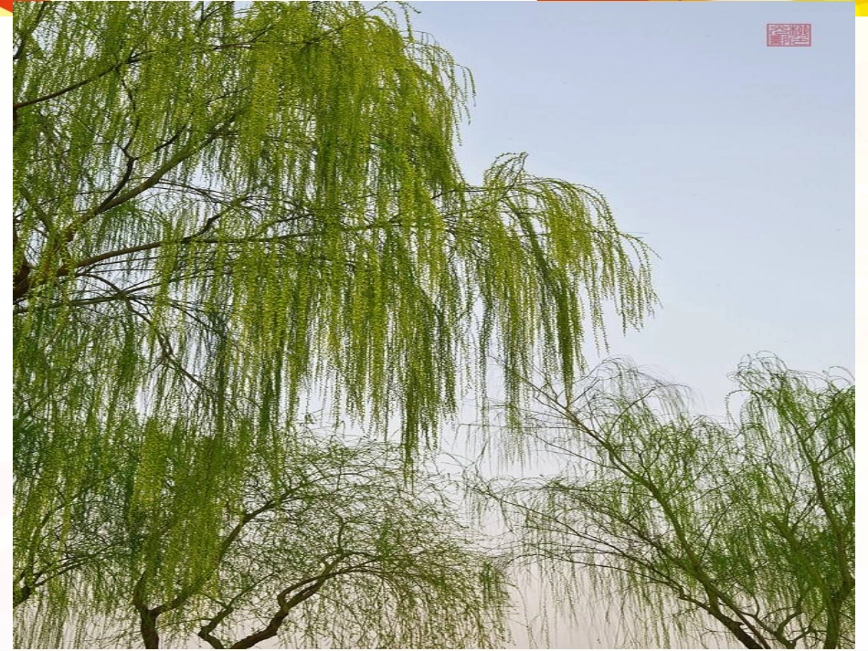 咏柳-(2)_第3页