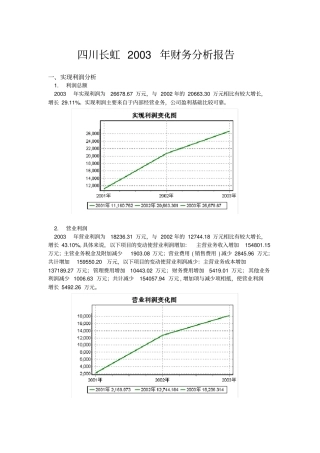 四川长虹公司年财务分析报告