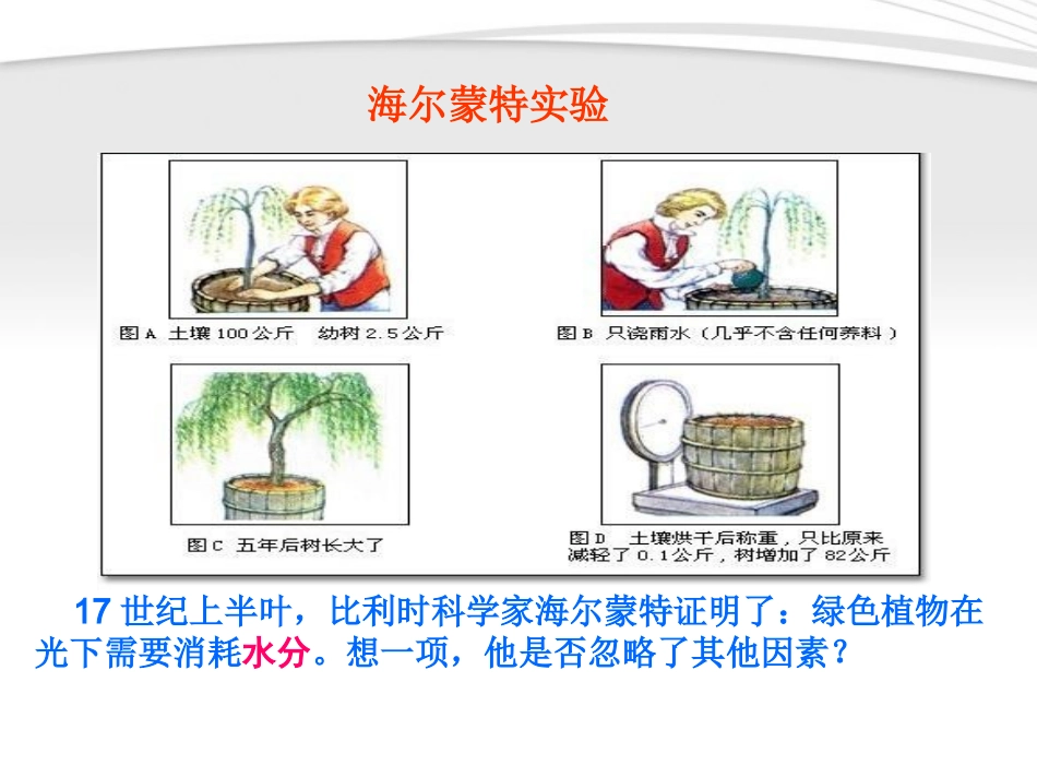 《第一节-光合作用吸收二氧化碳释放氧气》课件3_第3页